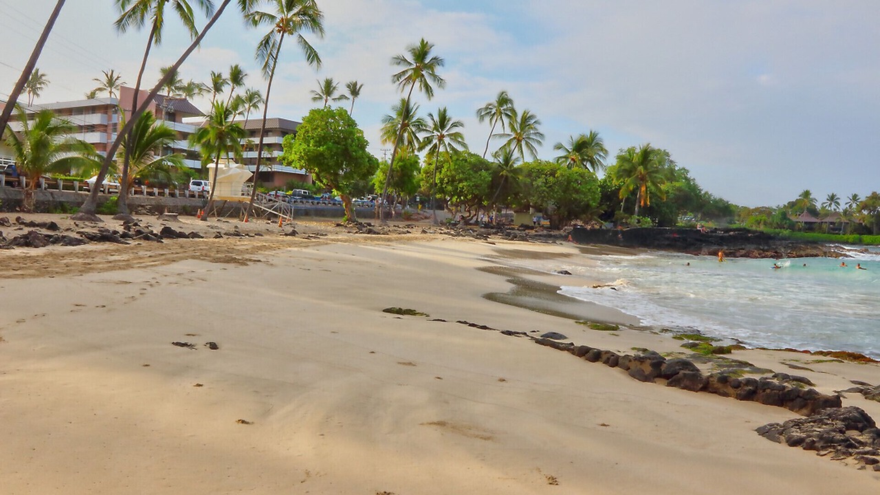 Photo of Others in Kahaluu Bay