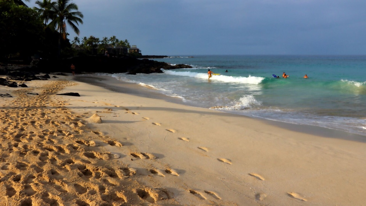 Photo of Others in Kahaluu Bay