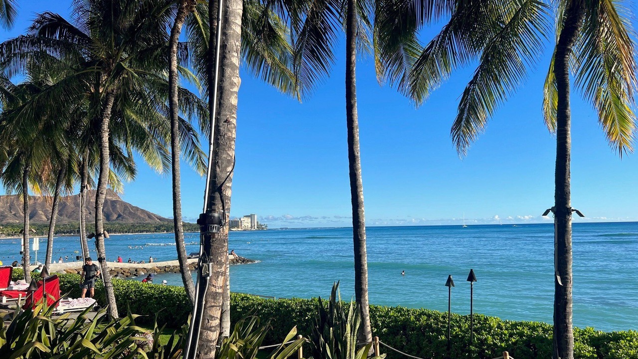 Photo of Others in Waikiki