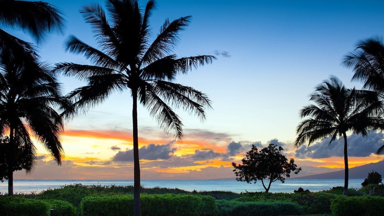 Photo of Others in Kaanapali