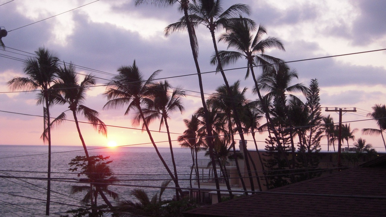 Photo of Others in Kahaluu Bay