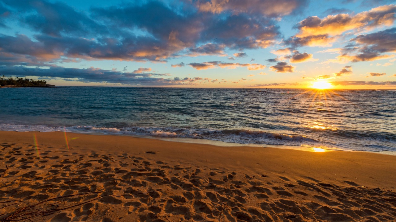 Photo of Others in Kapaa