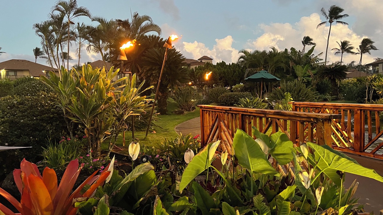 Photo of Others in Kapaa