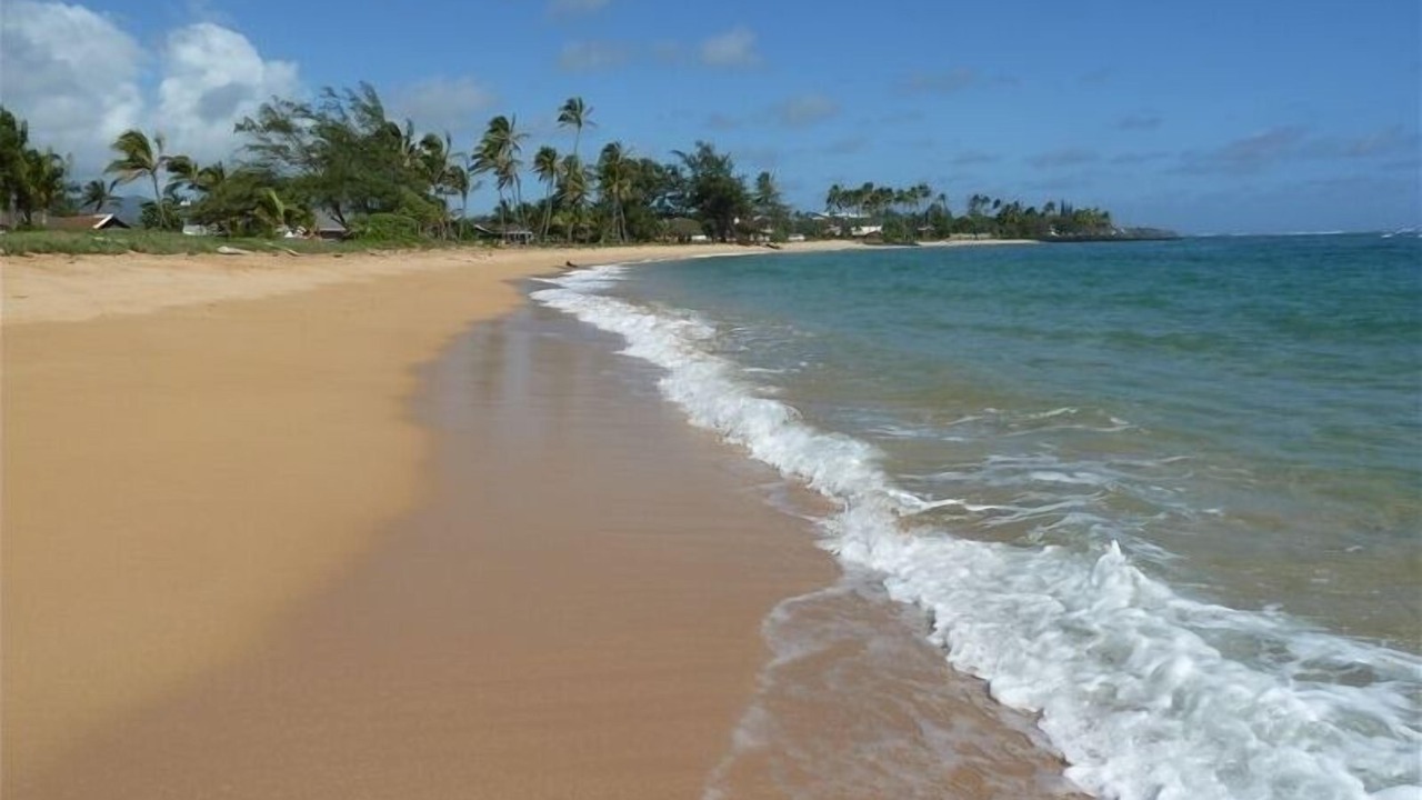 Photo of Others in Kapaa