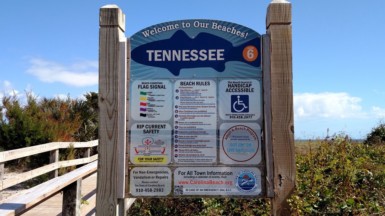 Photo of Others in Wilmington Beach