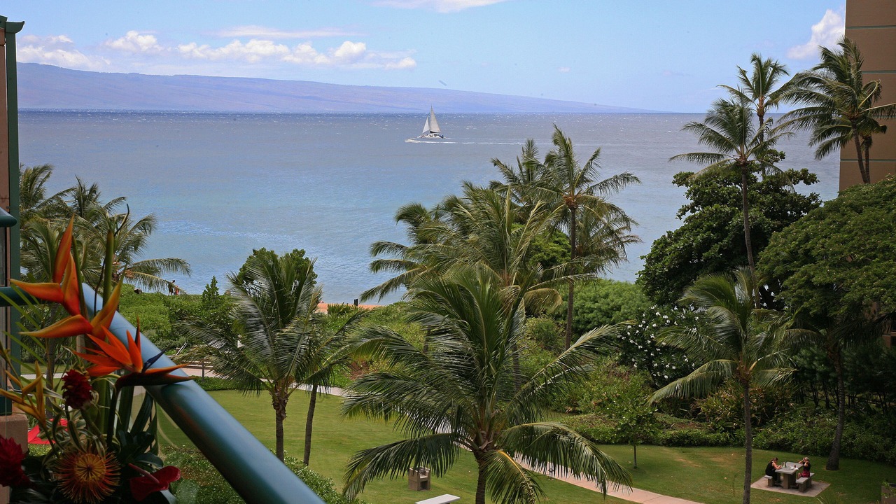 Photo of Others in Honokowai