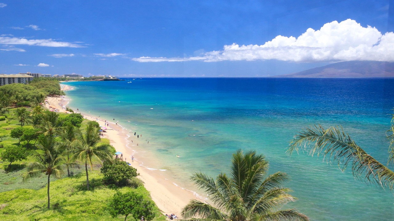 Photo of Others in Honokowai