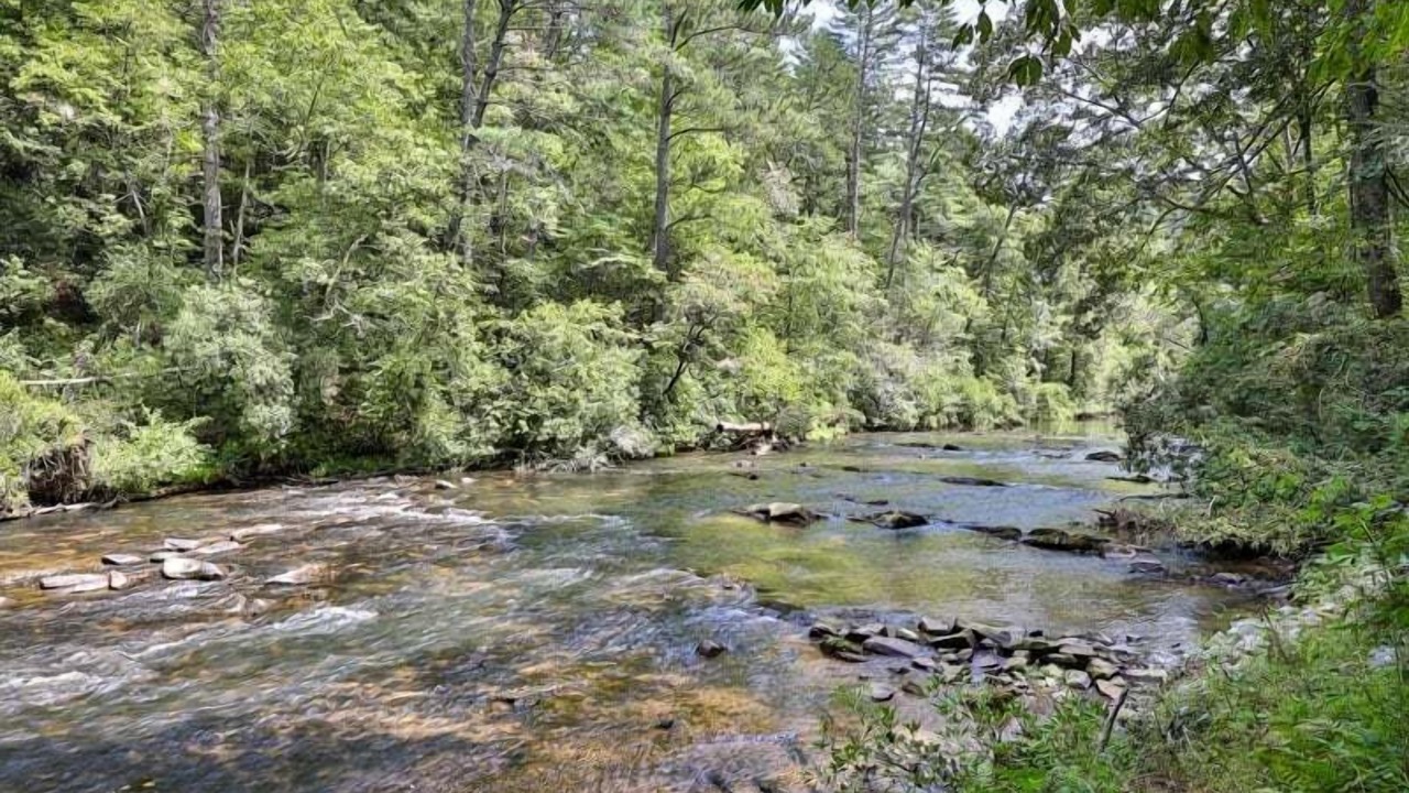 Photo of Others in Ellijay