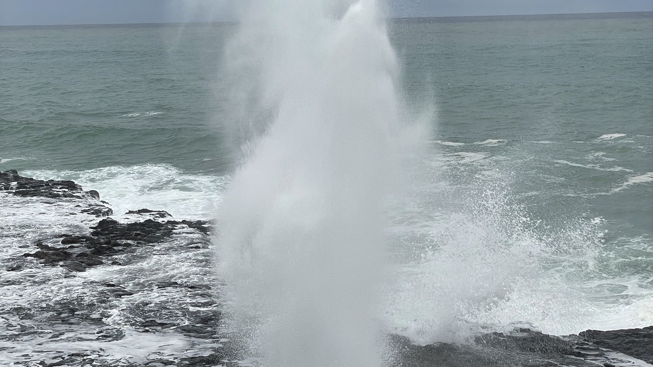 Photo of Others in Poipu