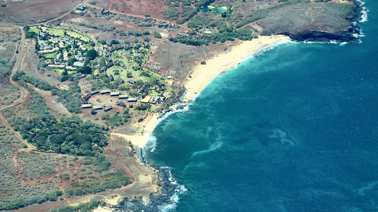 Photo of Others in Maunaloa