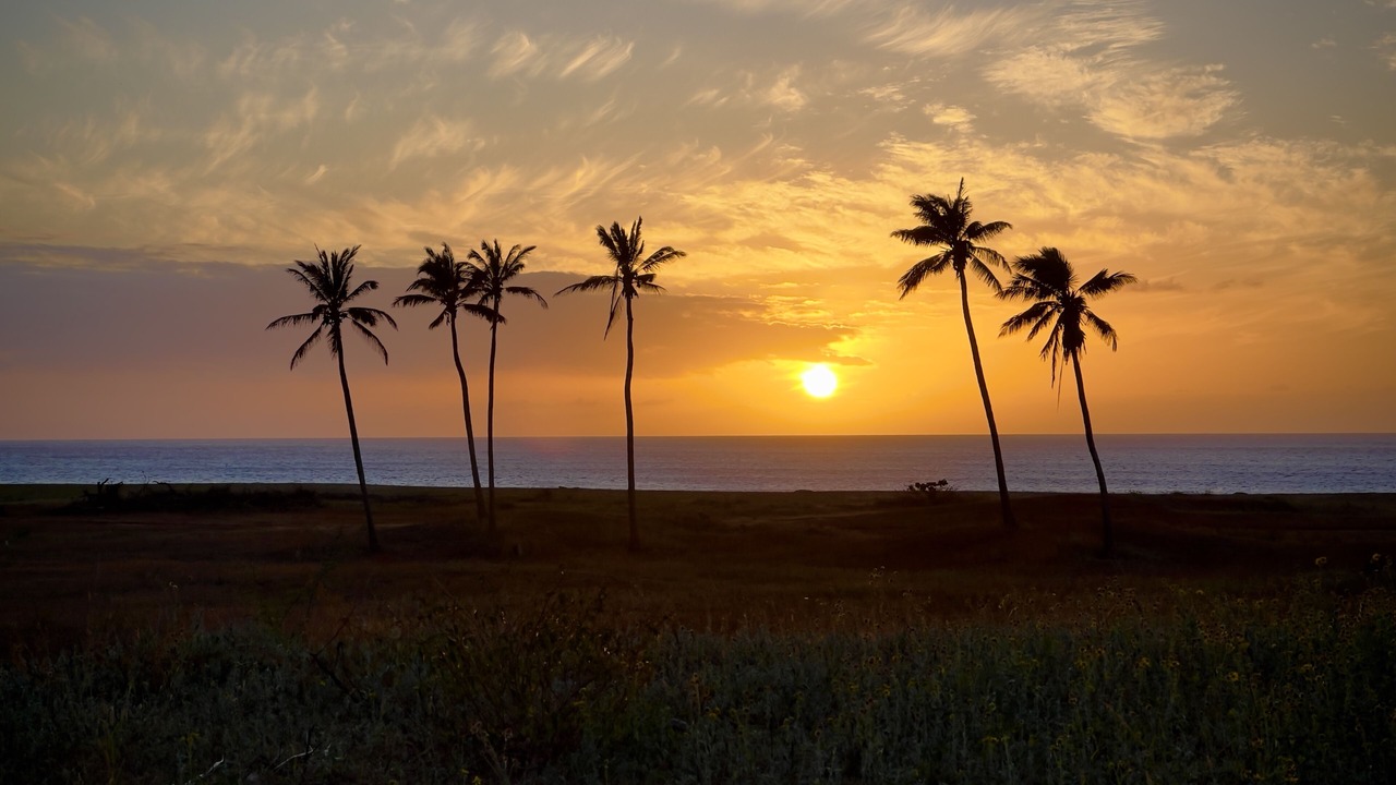 Photo of Others in Maunaloa