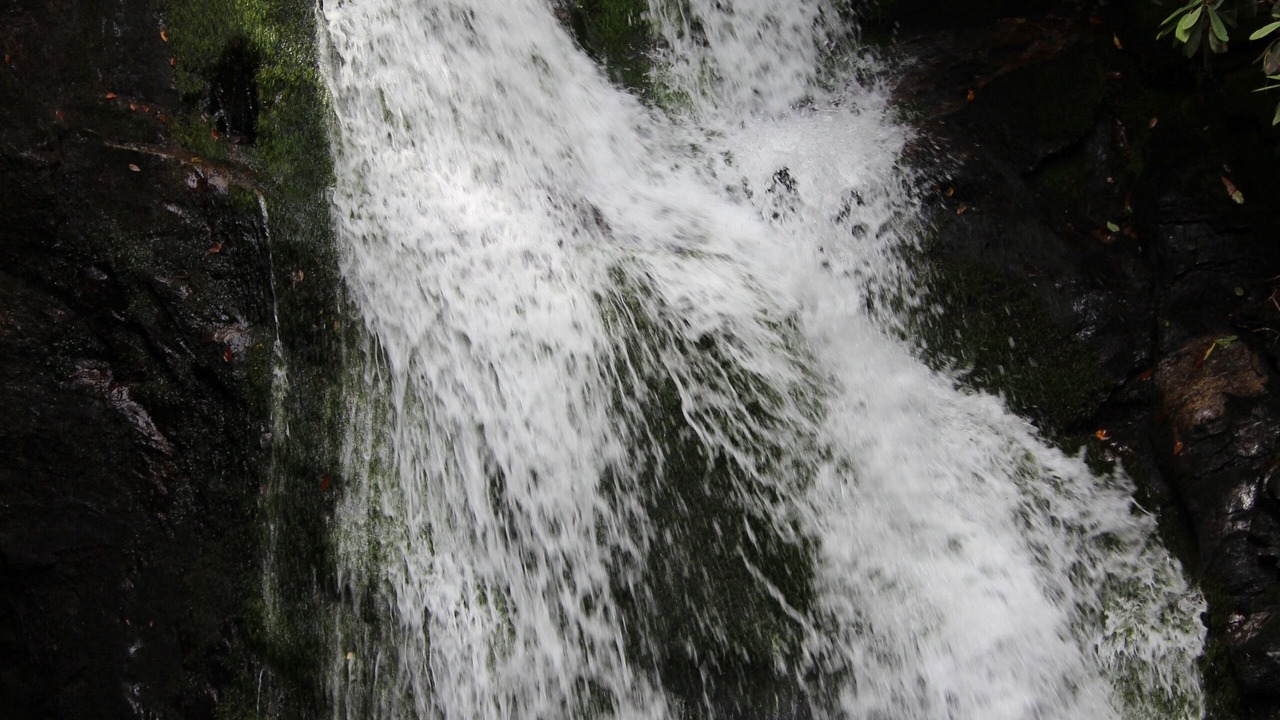 Photo of Outdoor in Hiawassee