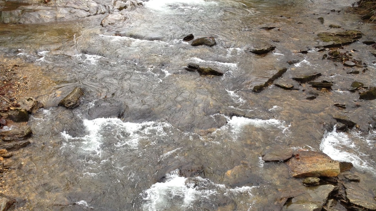 Photo of Others in Hiawassee