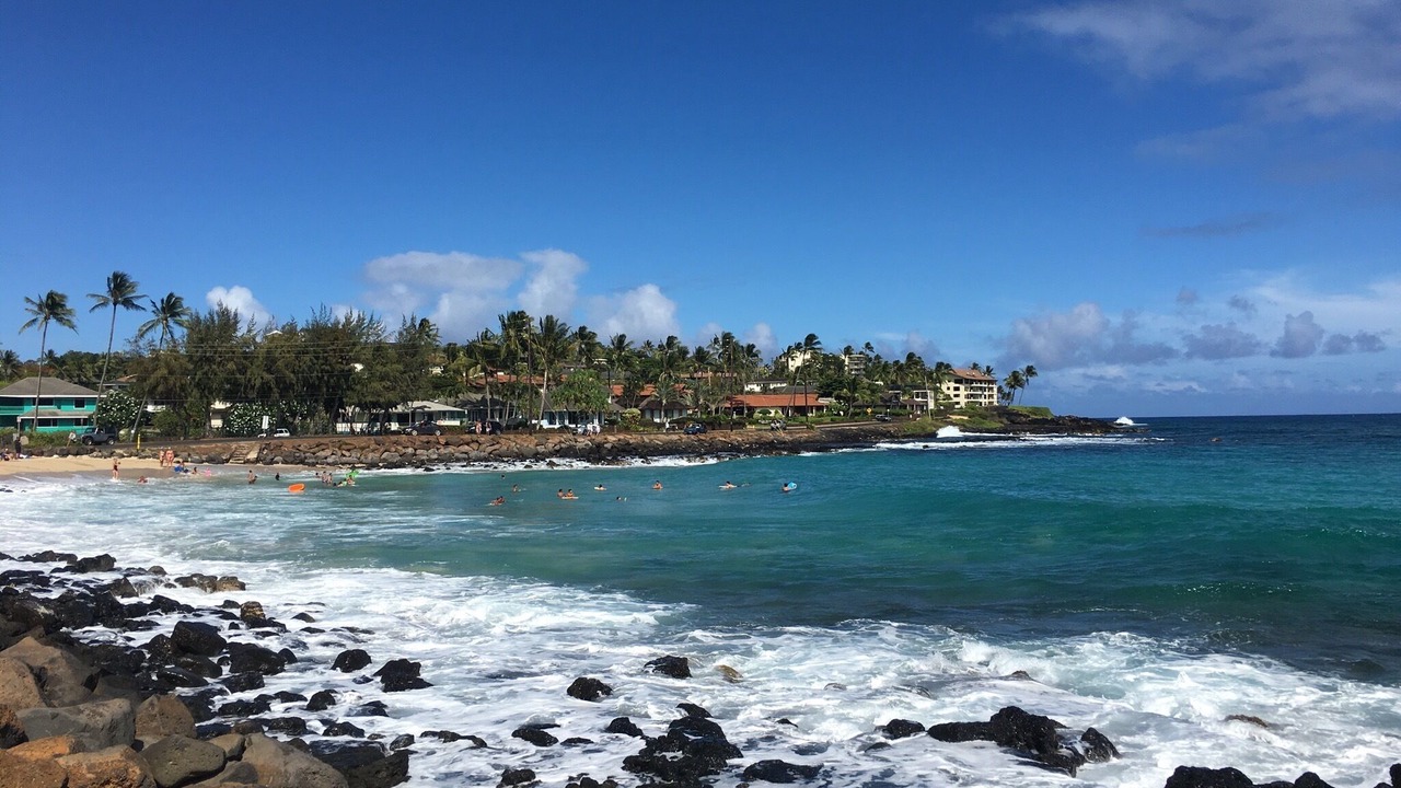 Photo of Others in Poipu