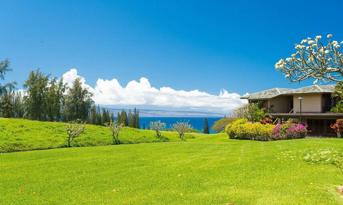 Photo of Others in Kapalua