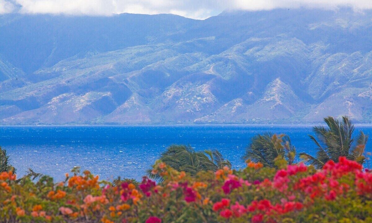 Photo of Others in Kapalua