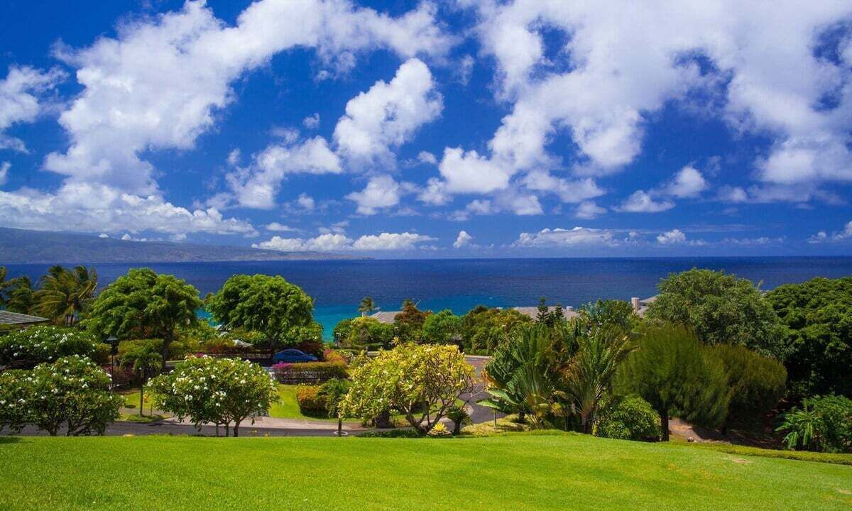 Photo of Others in Kapalua