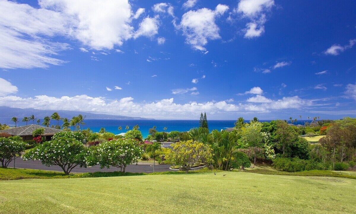 Photo of Others in Kapalua
