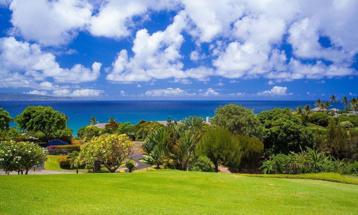 Photo of Others in Kapalua