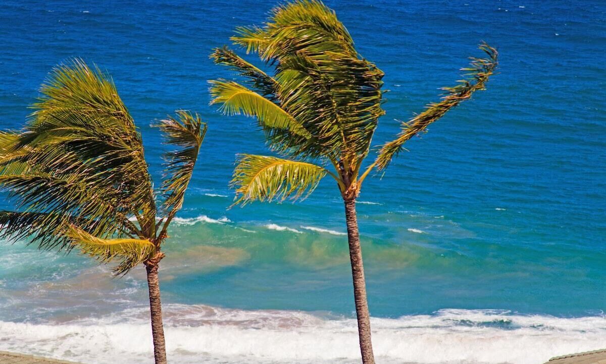 Photo of Others in Kapalua