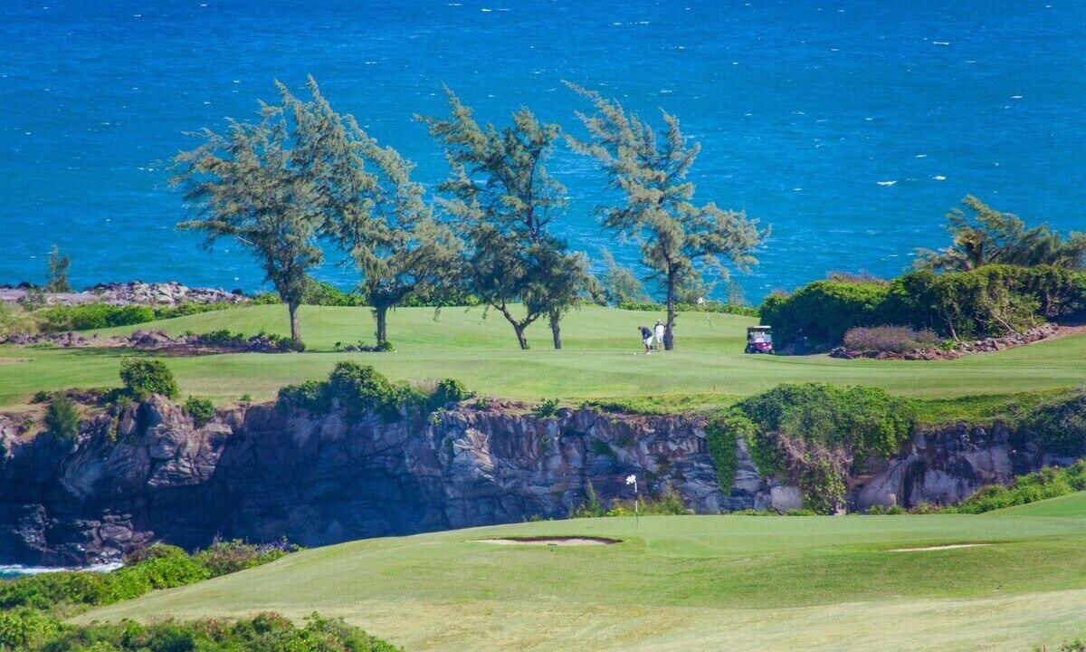 Photo of Others in Kapalua