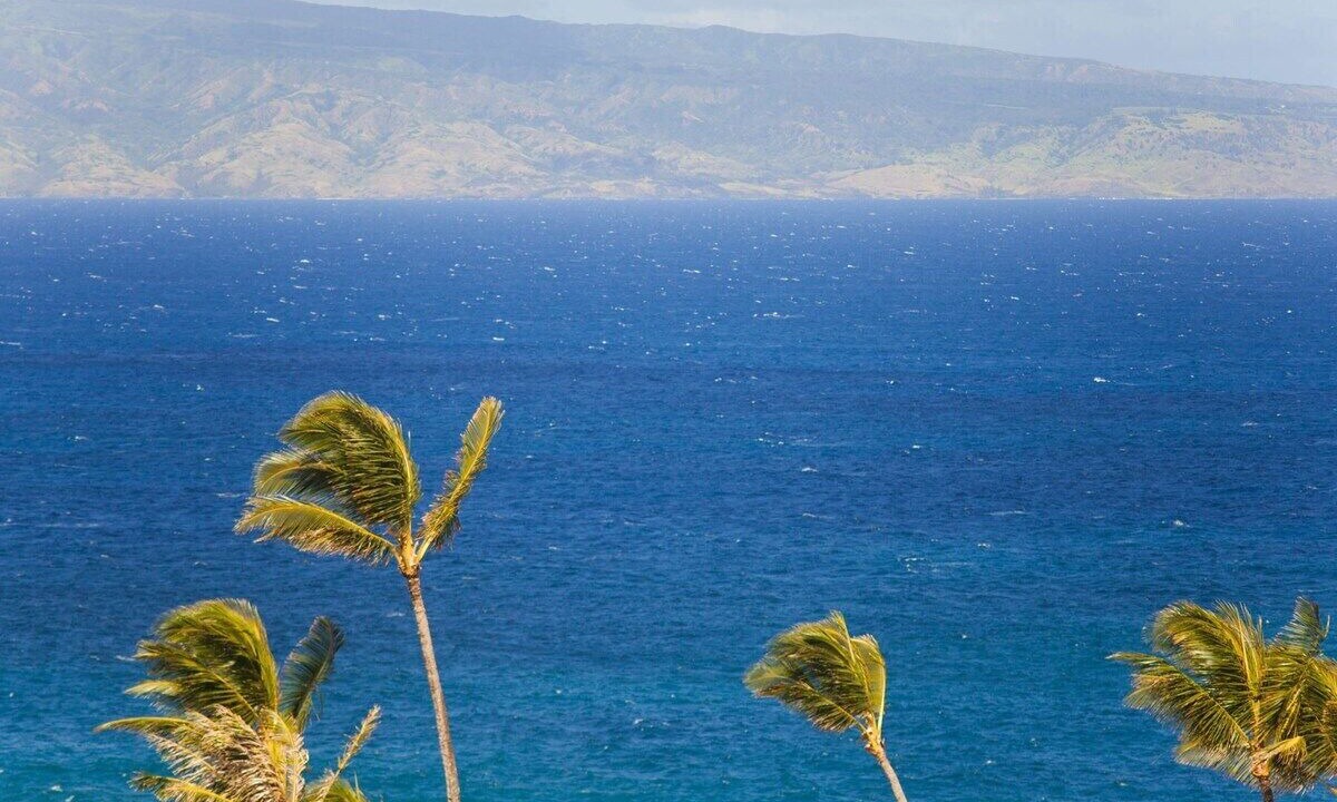 Photo of Others in Kapalua
