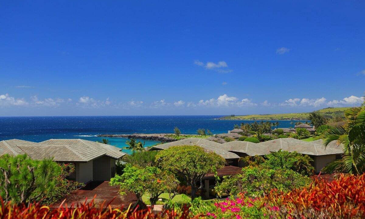 Photo of Others in Kapalua