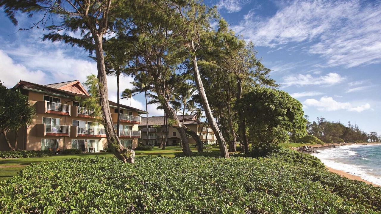 Photo of Outdoor in Wailua