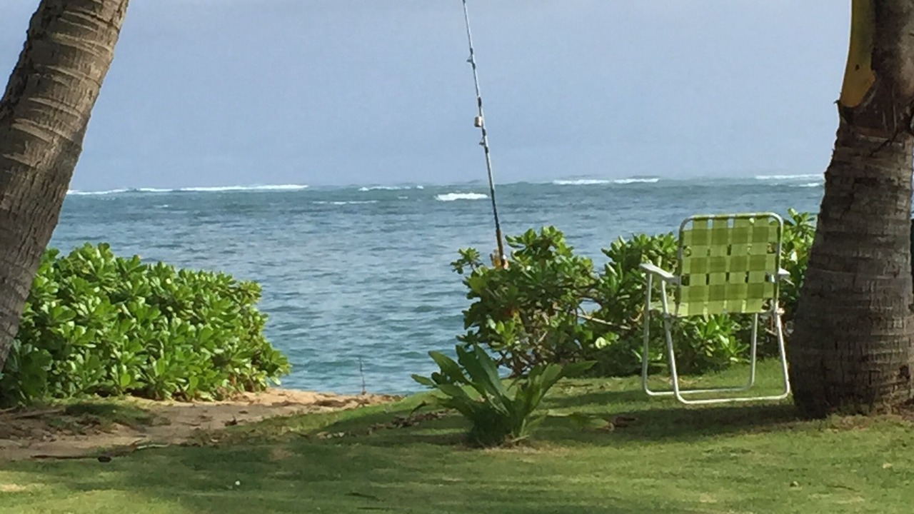 Photo of Outdoor in Punaluu