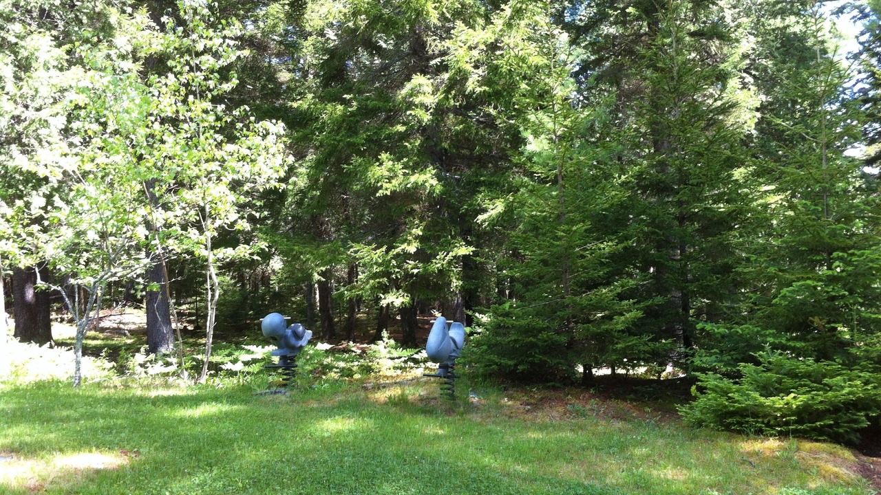 Photo of Outdoor in Town Hill