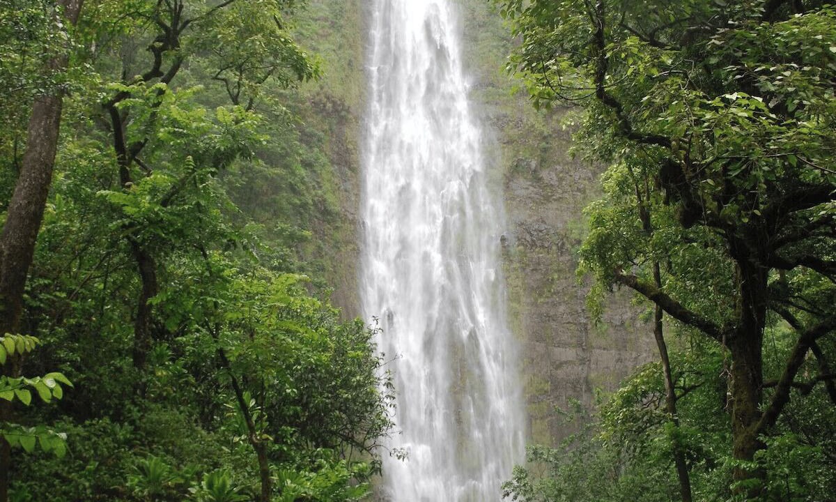 Photo of Others in Pauwela