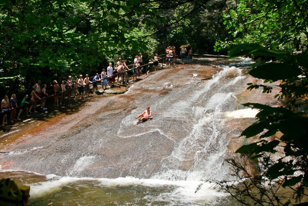Photo of Others in Brevard