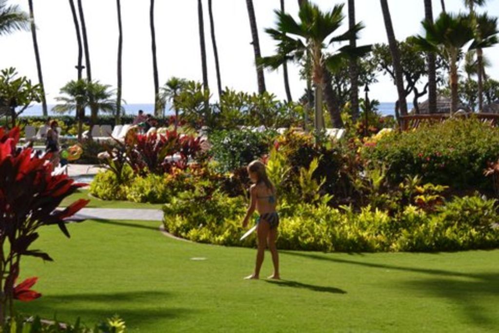 Photo of Others in Kaanapali