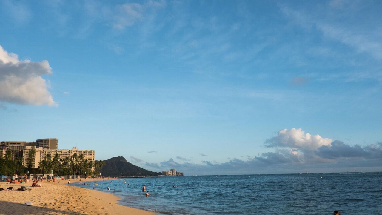 Photo of Others in Waikiki
