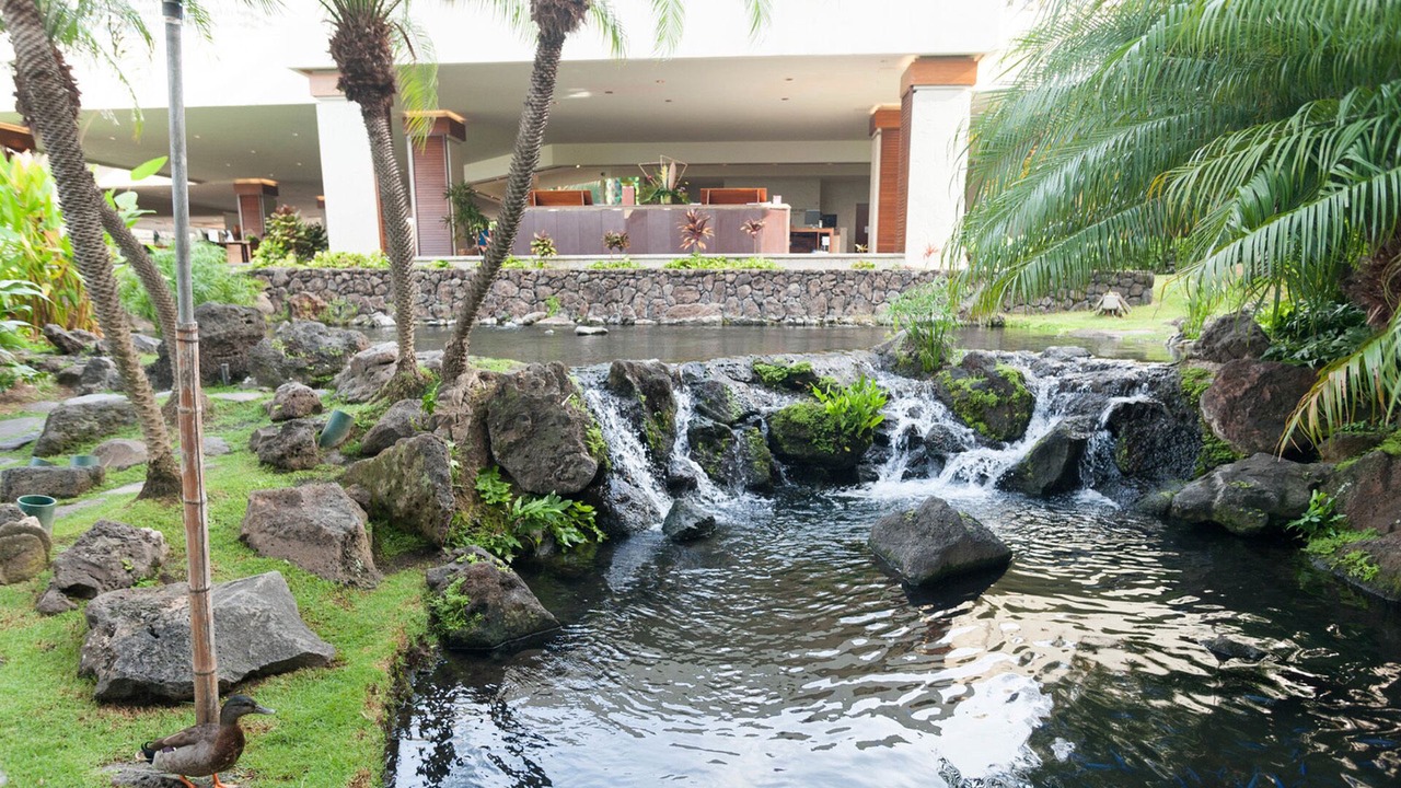 Photo of Outdoor in Waikiki
