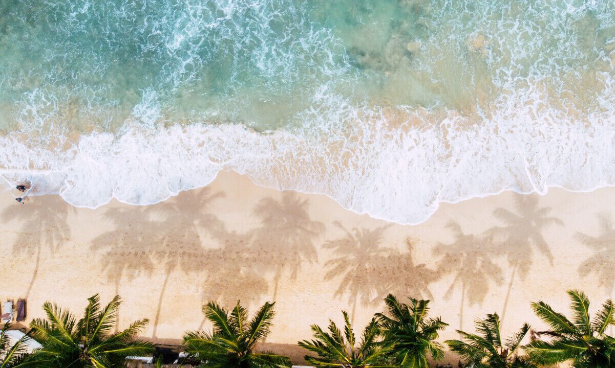 Photo of Others in Kahuku