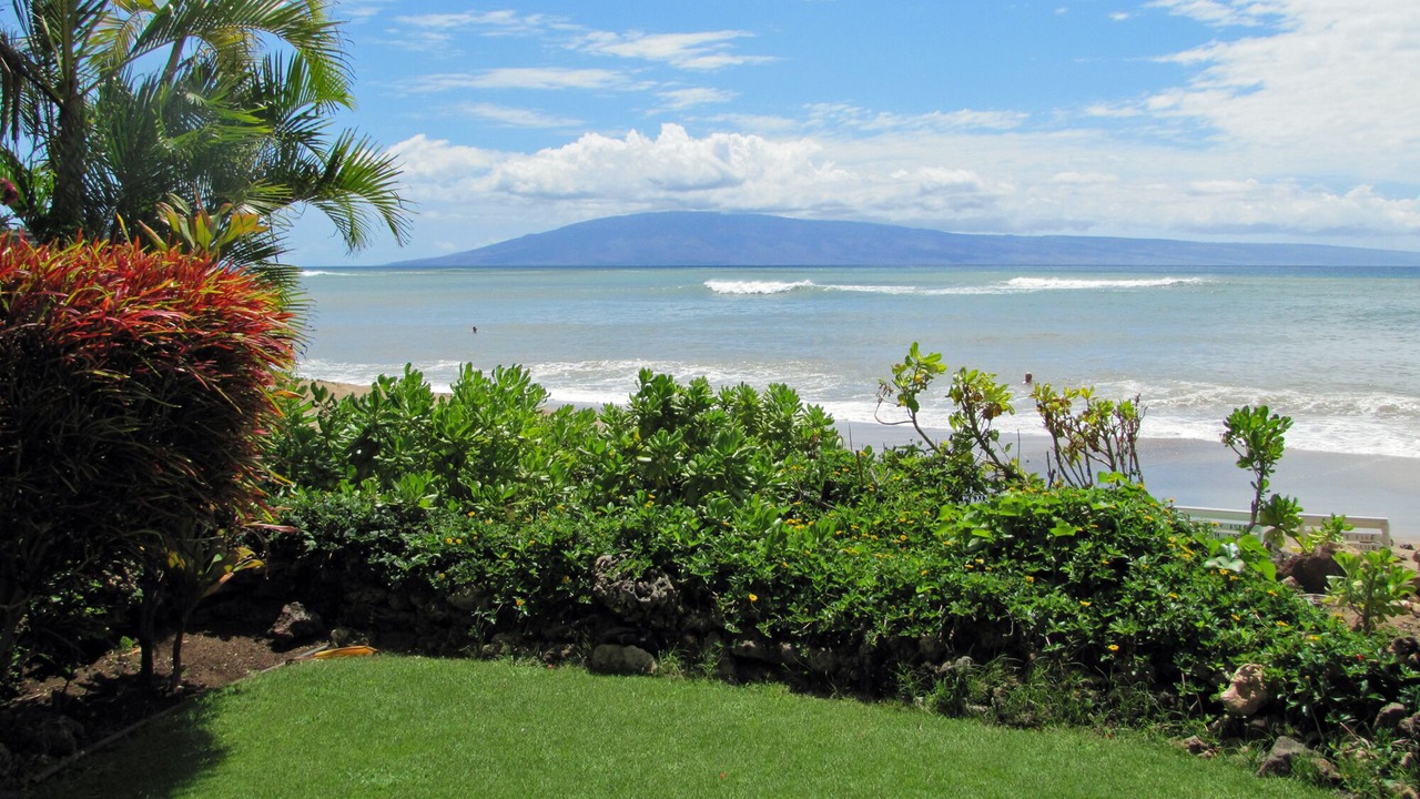 Photo of Others in Kahana