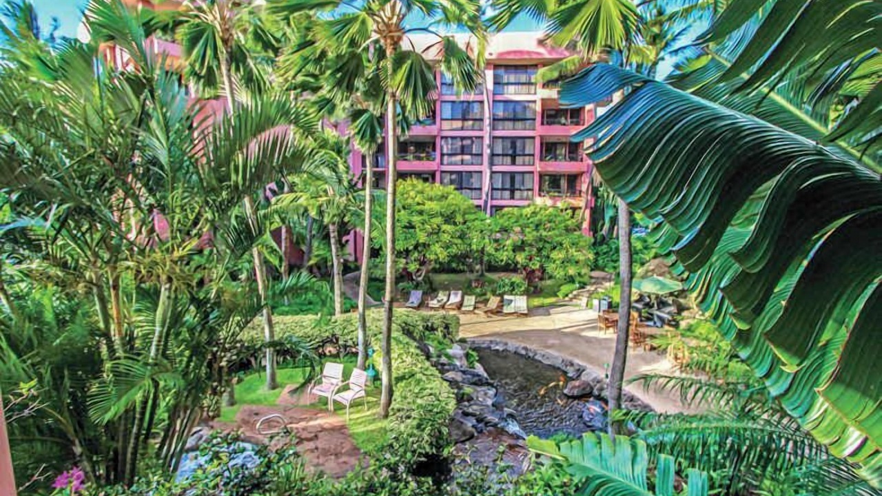 Photo of Outdoor in Kahana