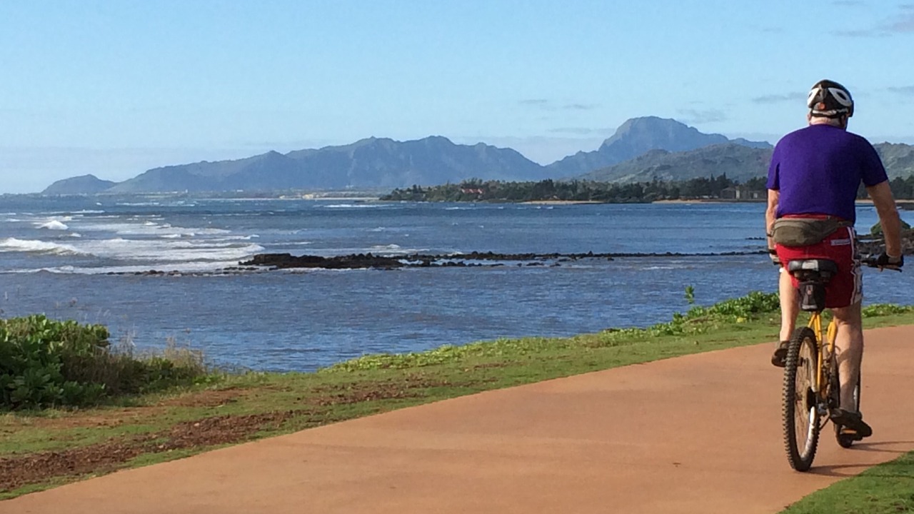 Photo of Others in Kapaa