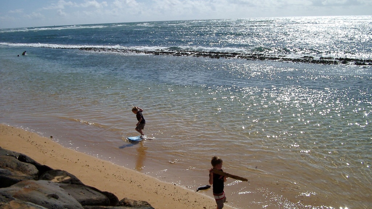 Photo of Others in Kapaa