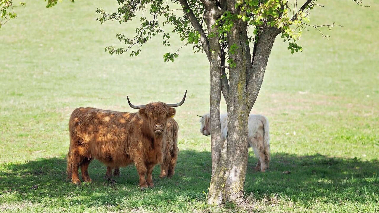 Photo of Others in Jefferson City