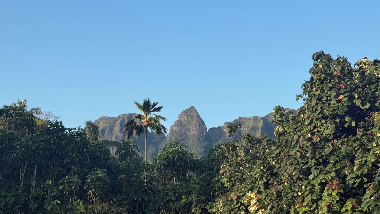 Photo of Others in Anahola