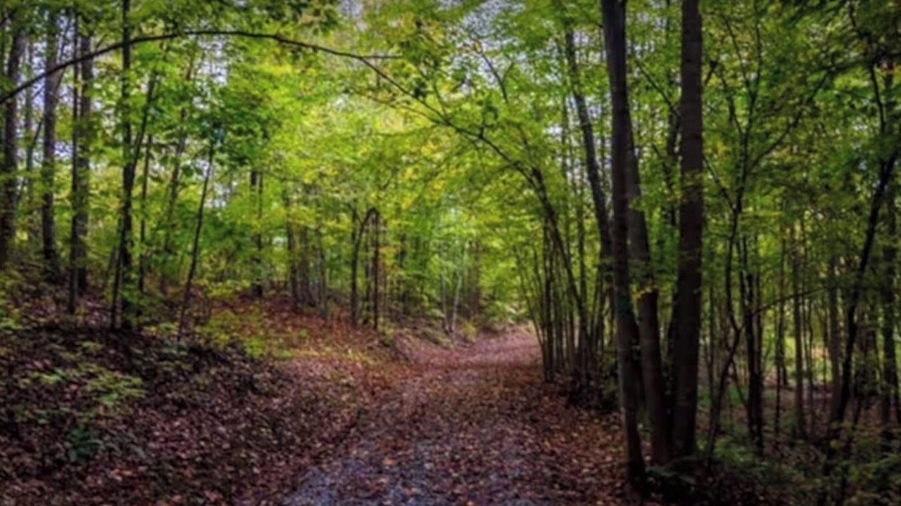 Photo of Others in Vein Mountain