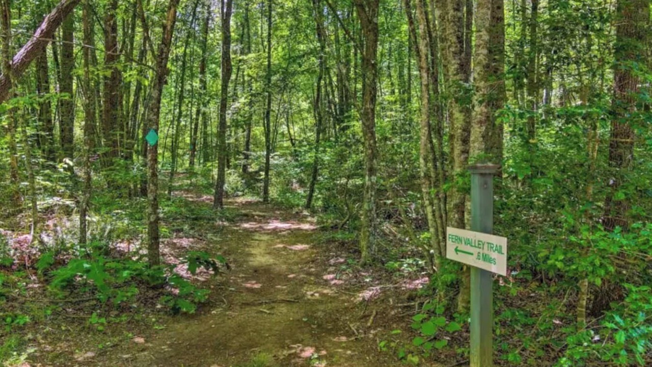 Photo of Others in Vein Mountain