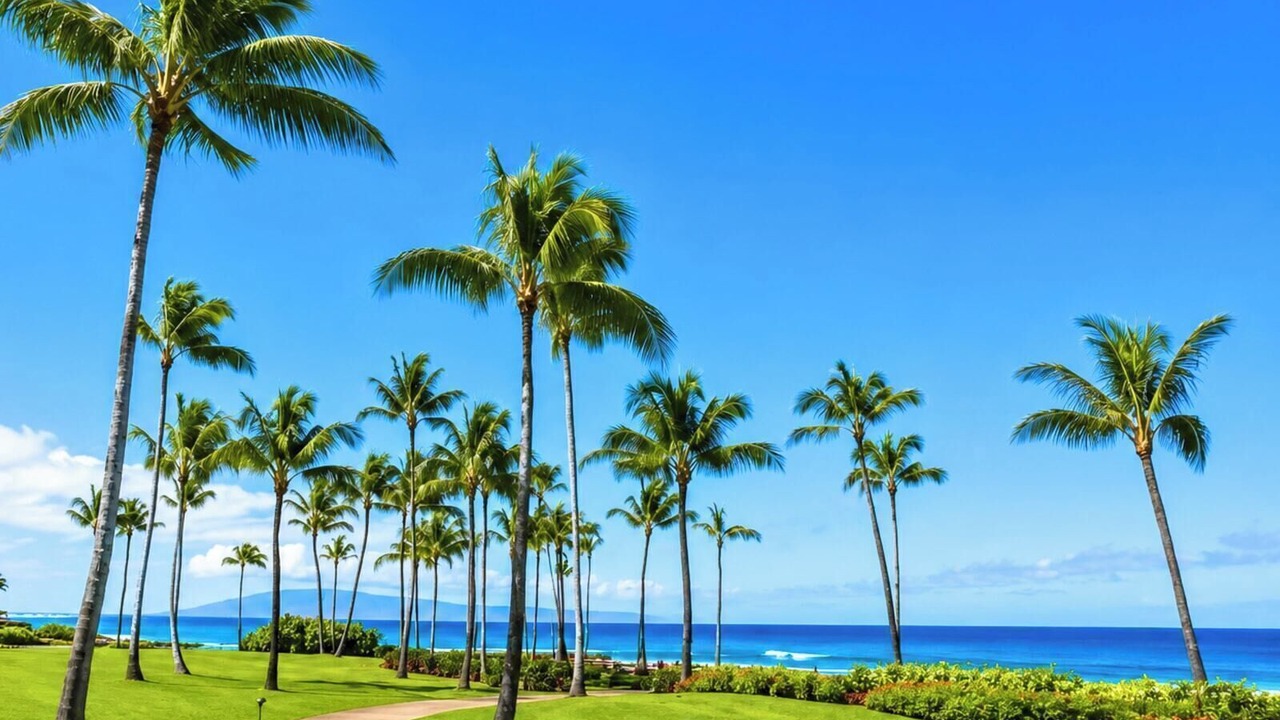 Photo of Outdoor in Montage Kapalua Bay