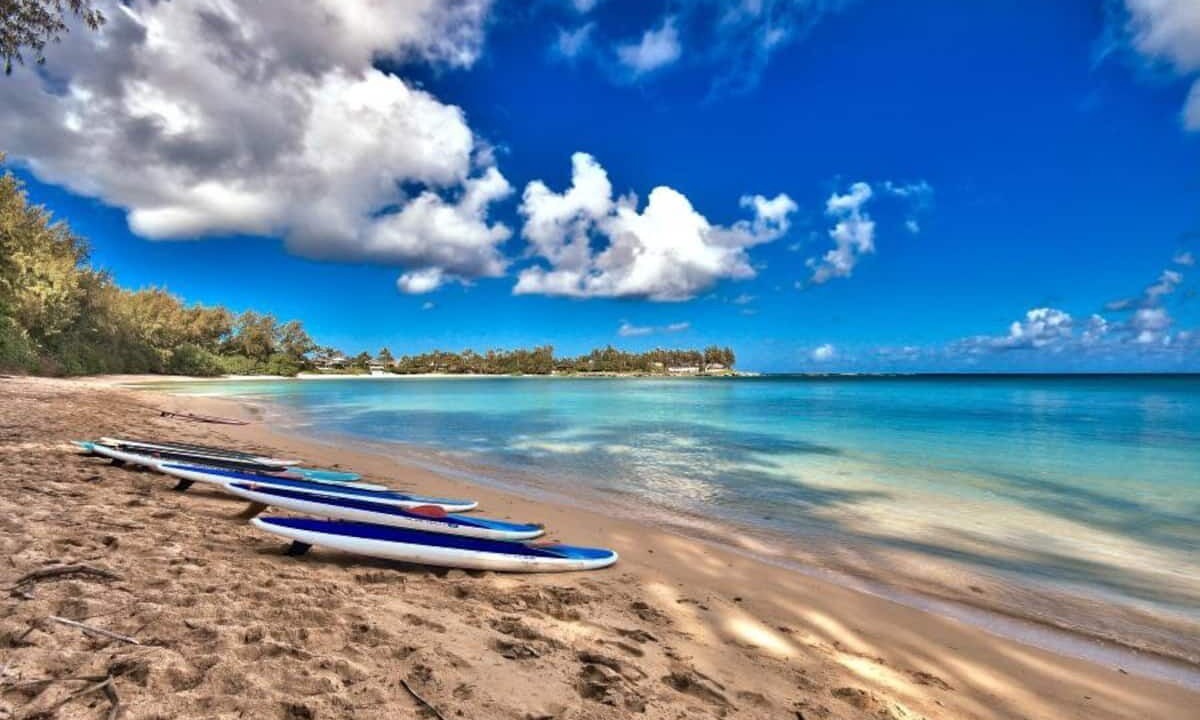 Photo of Others in Kahuku