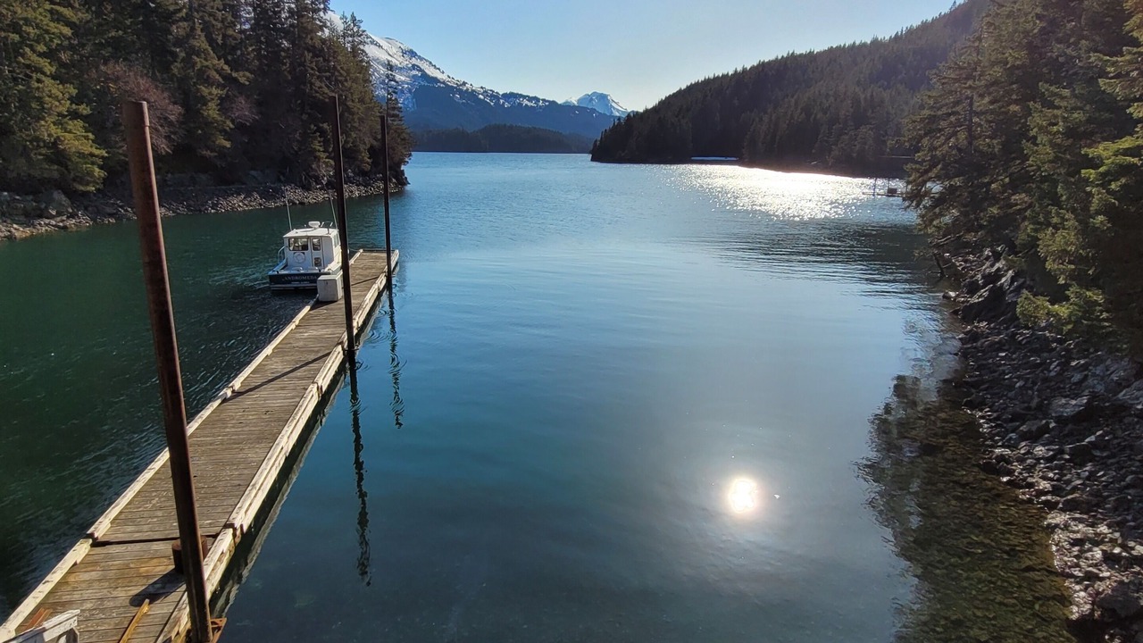 Photo of Others in Homer