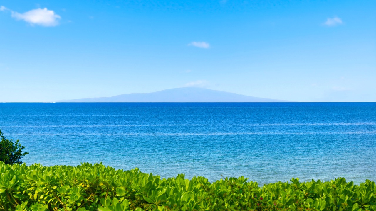 Photo of Others in Wailea