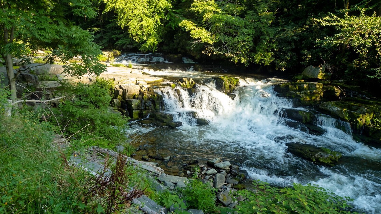 Photo of Others in Bryson City