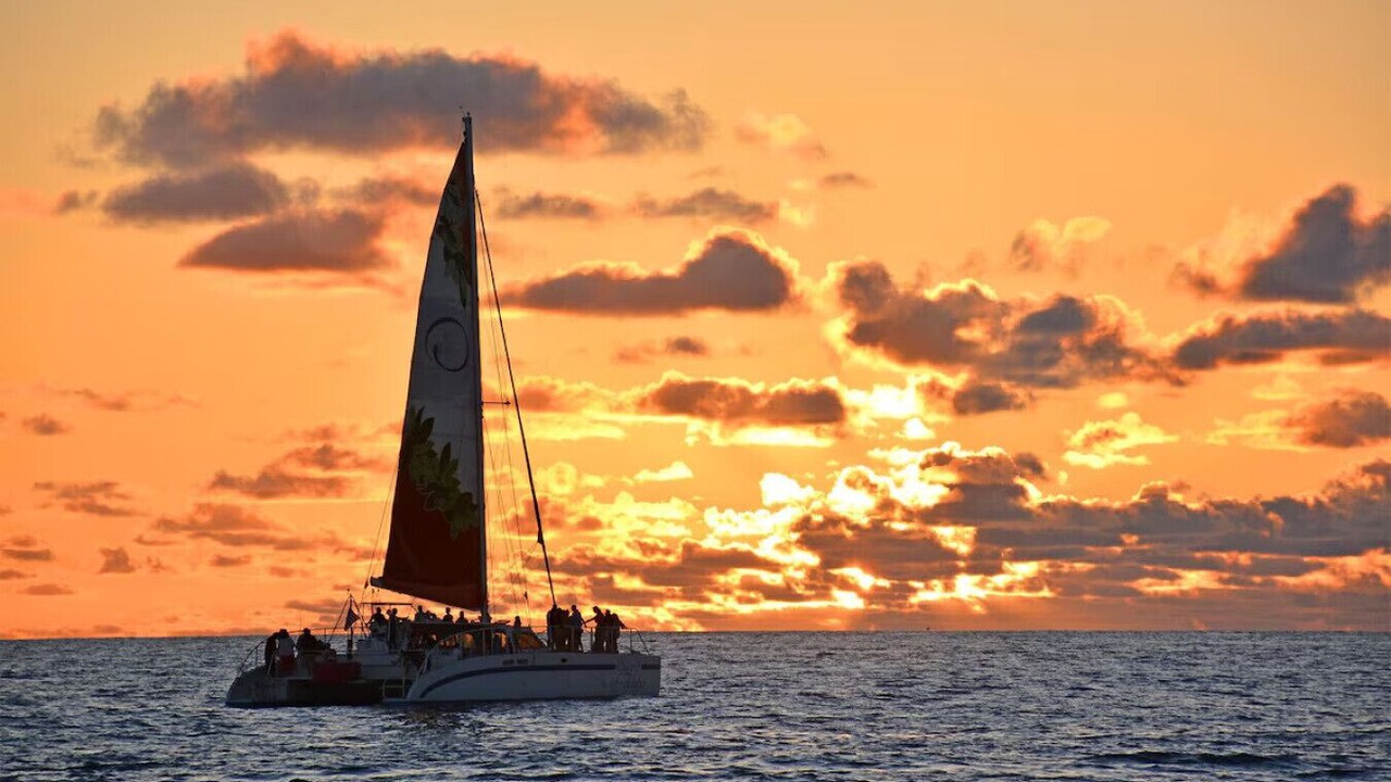 Photo of Others in Waikiki